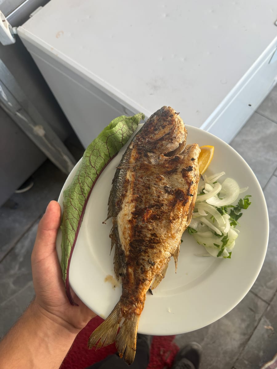Porsiyon çupra